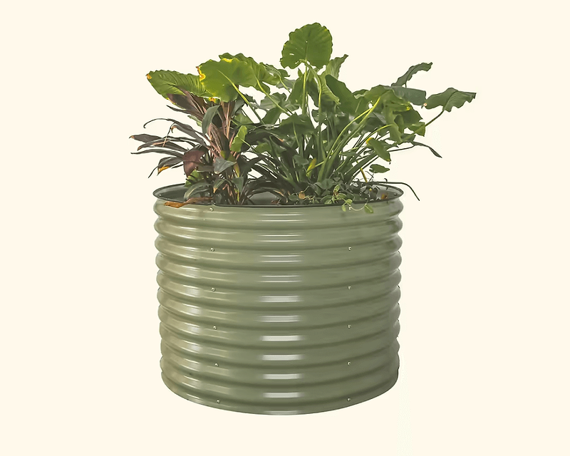 Features That Grow with You