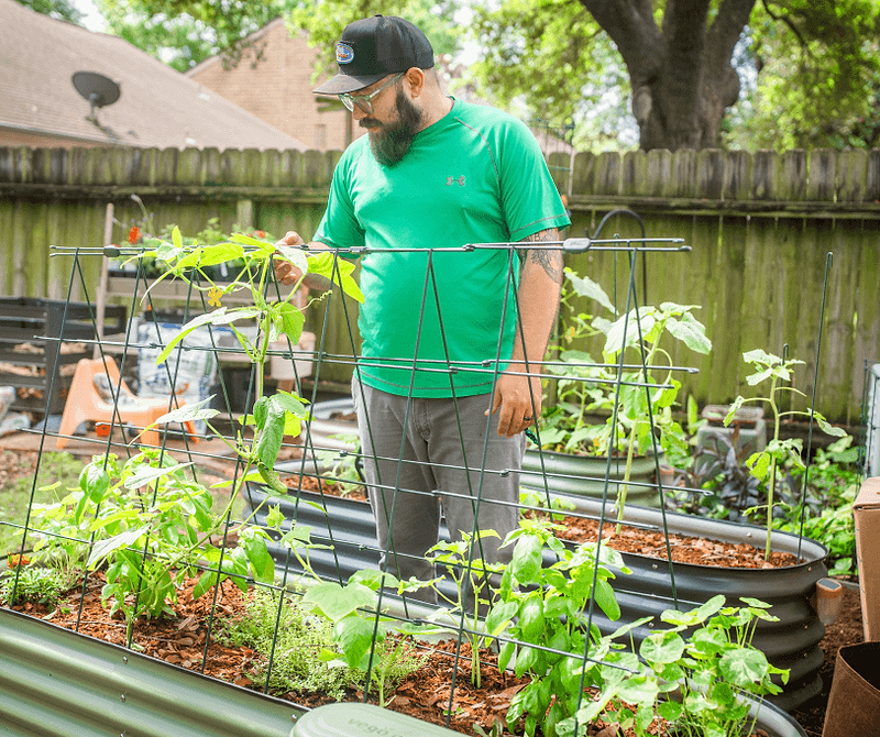 Vego garden beds