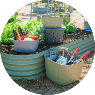 Vego garden beds