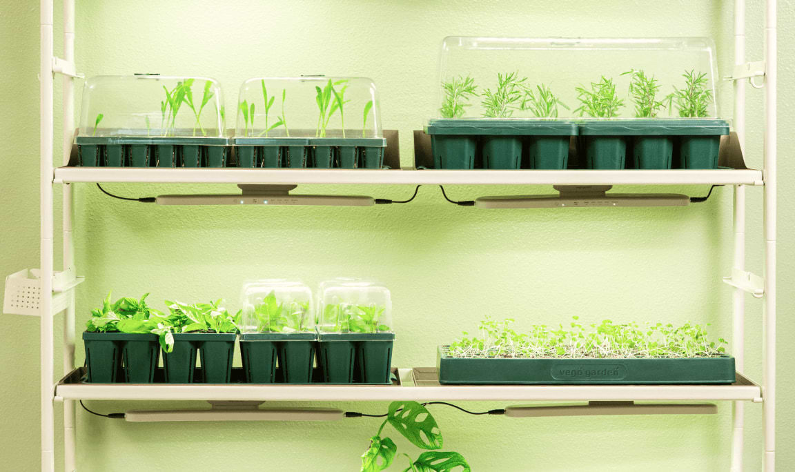 Vego garden beds