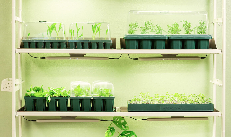 Vego garden beds