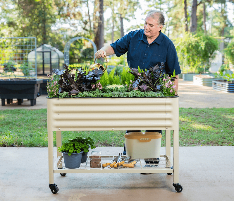 Vego garden beds