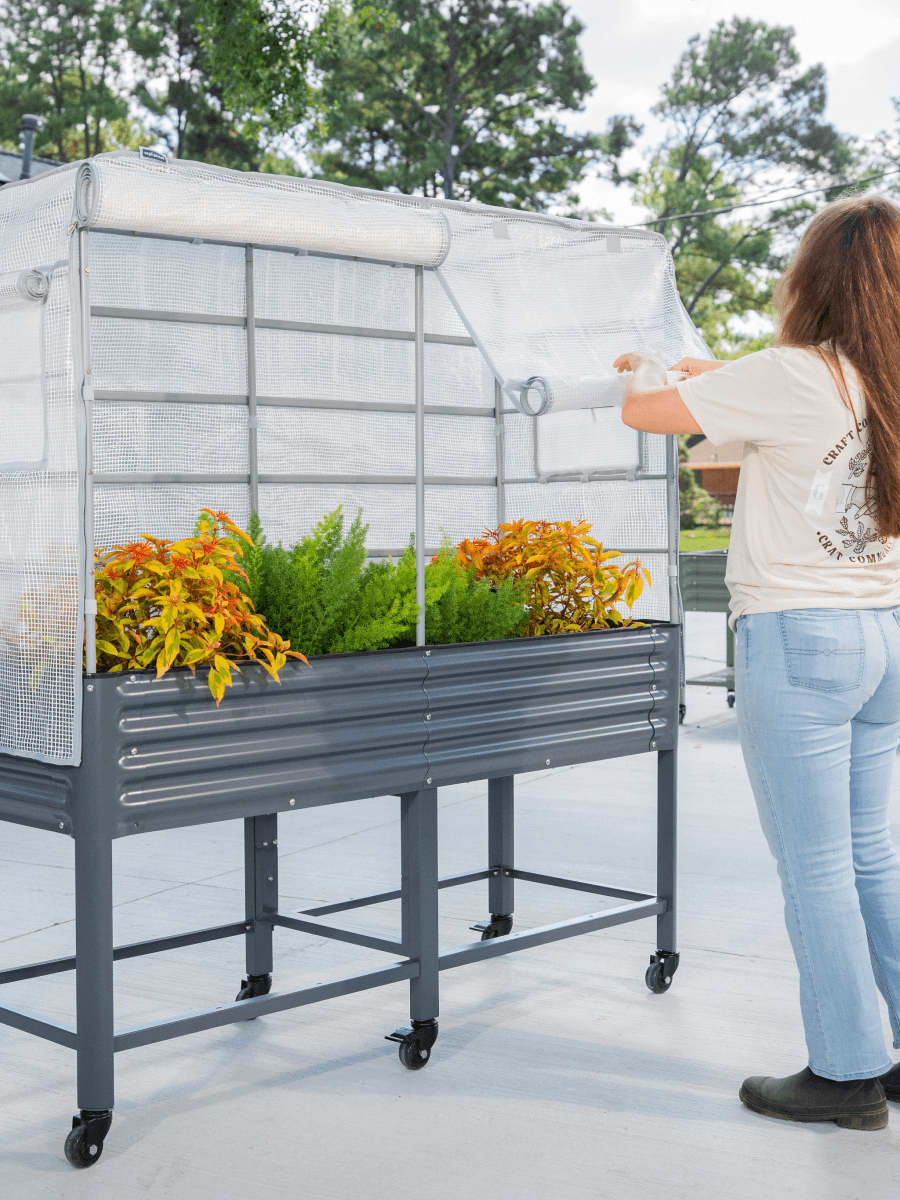 Vego garden beds