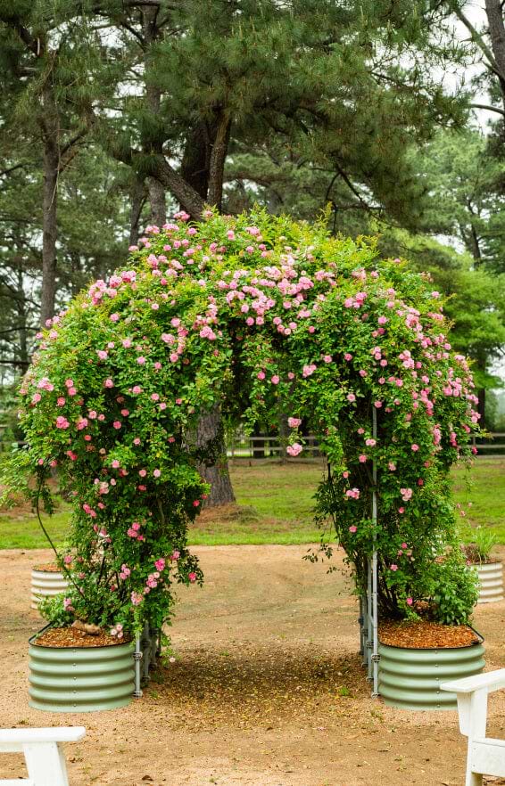 Vego garden beds