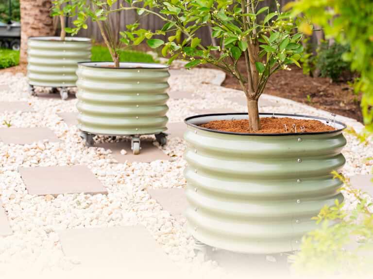 Vego garden beds