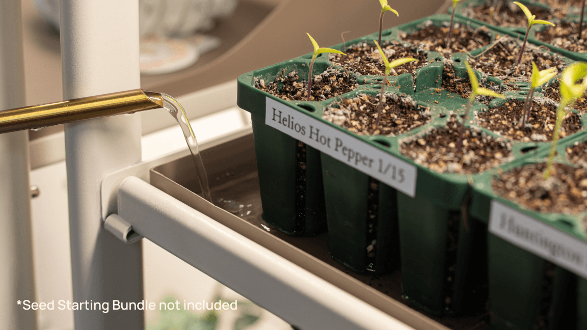 【完売品】KAZETOMORI grow table その他色々 2 Tier Tabletop Grow Light Garden