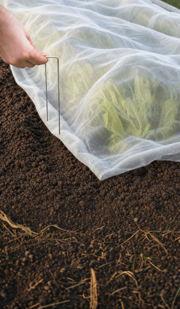 Garden Covers