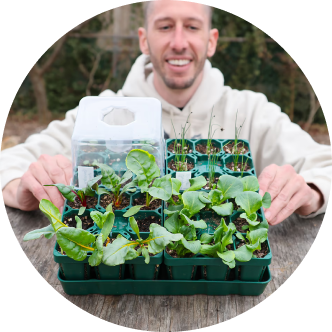 Vego garden beds