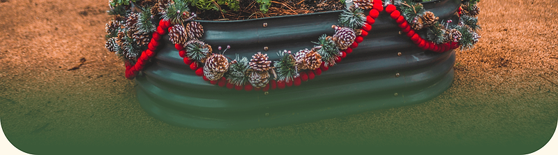 Give Growth, Gift Vego