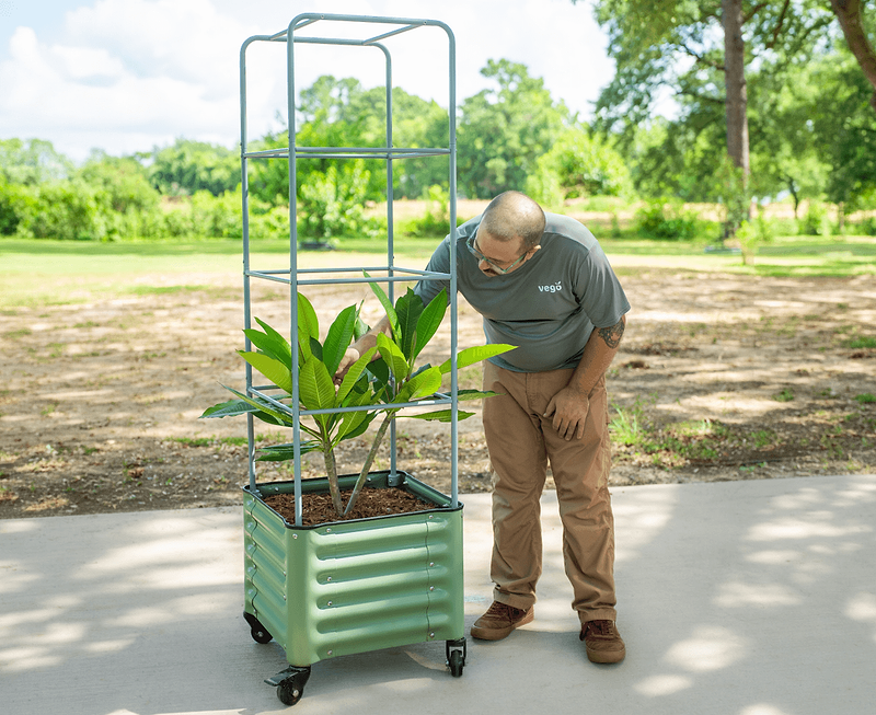 Vego garden beds