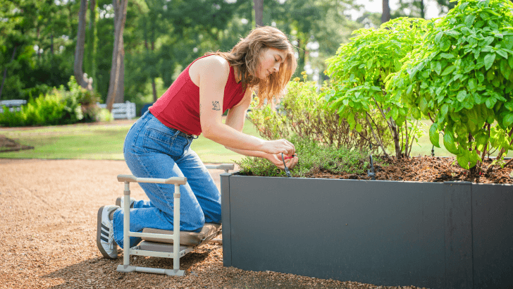 Ground-Level Care