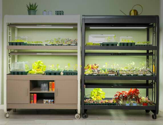 Vego garden beds