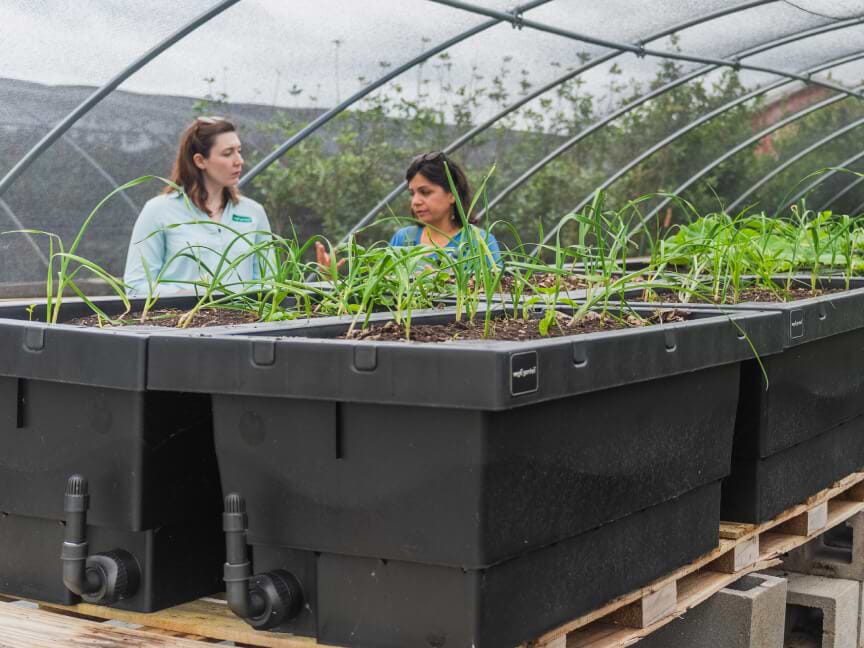 Vego garden beds