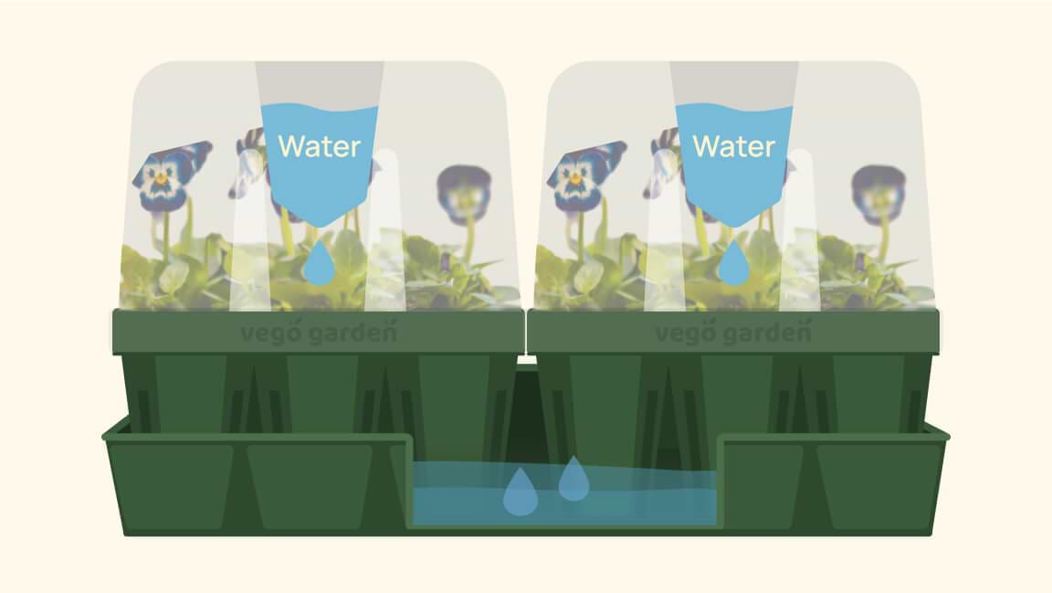 Mess-Free Watering