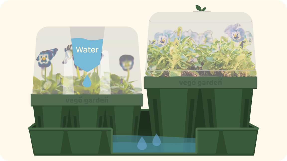 Mess-Free Watering