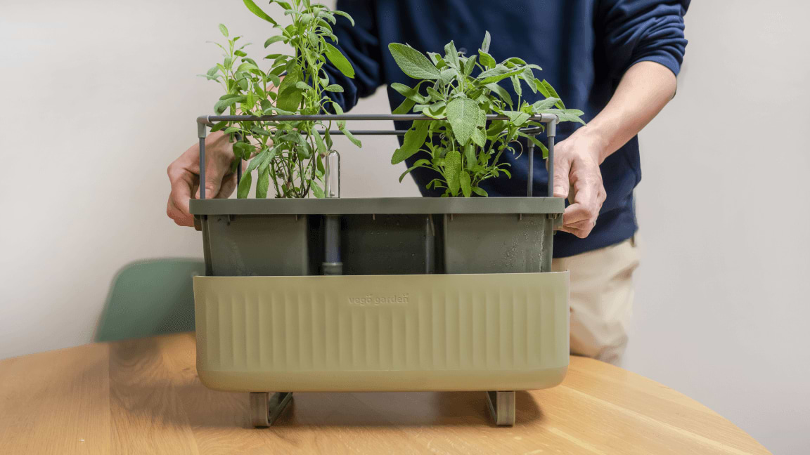 image Herb Double Wall