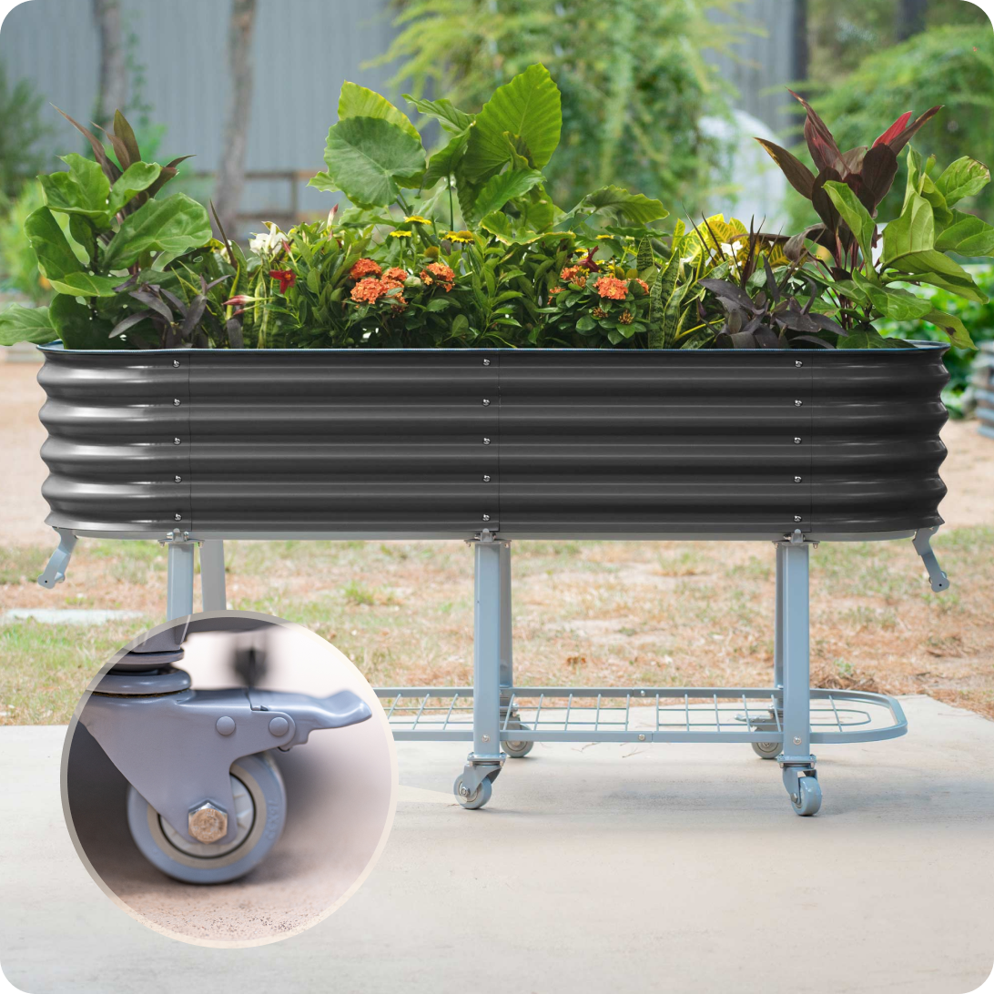 Vego garden beds