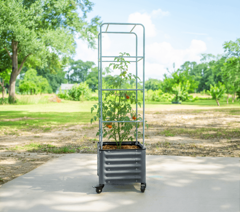 Vego garden beds