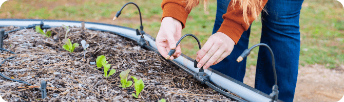 Vego garden beds