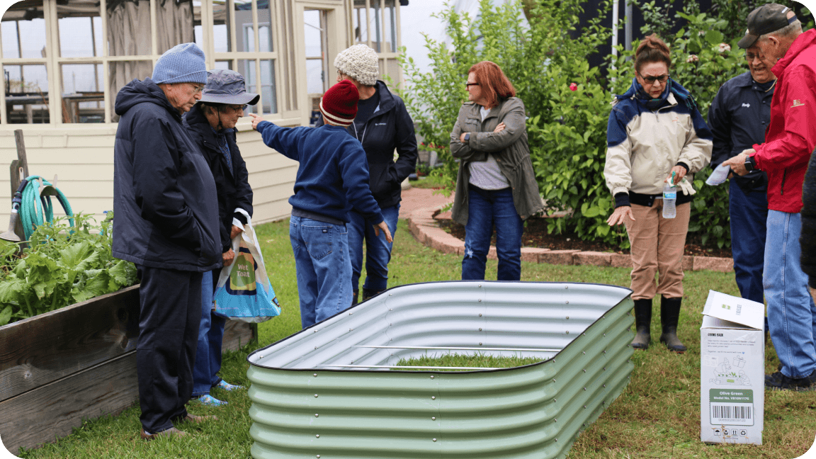 Vego garden beds