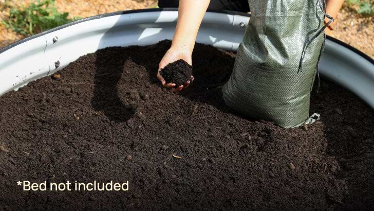 In Garden Beds