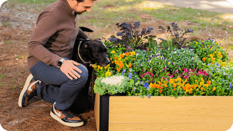 Vego garden beds