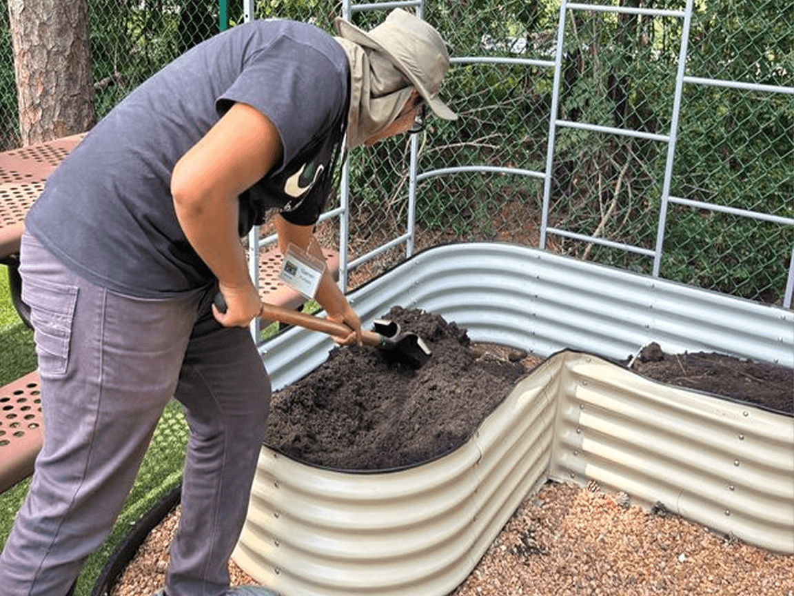 Vego garden beds