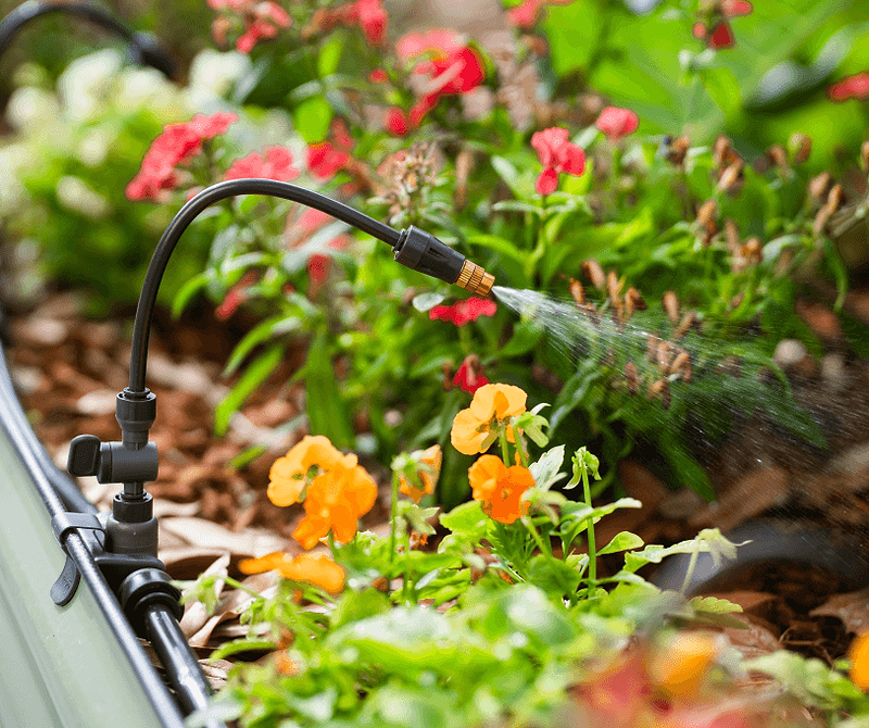 Vego garden beds