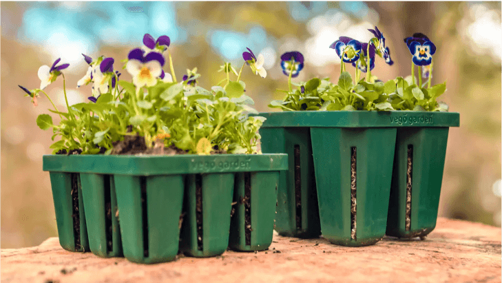 Vego garden beds