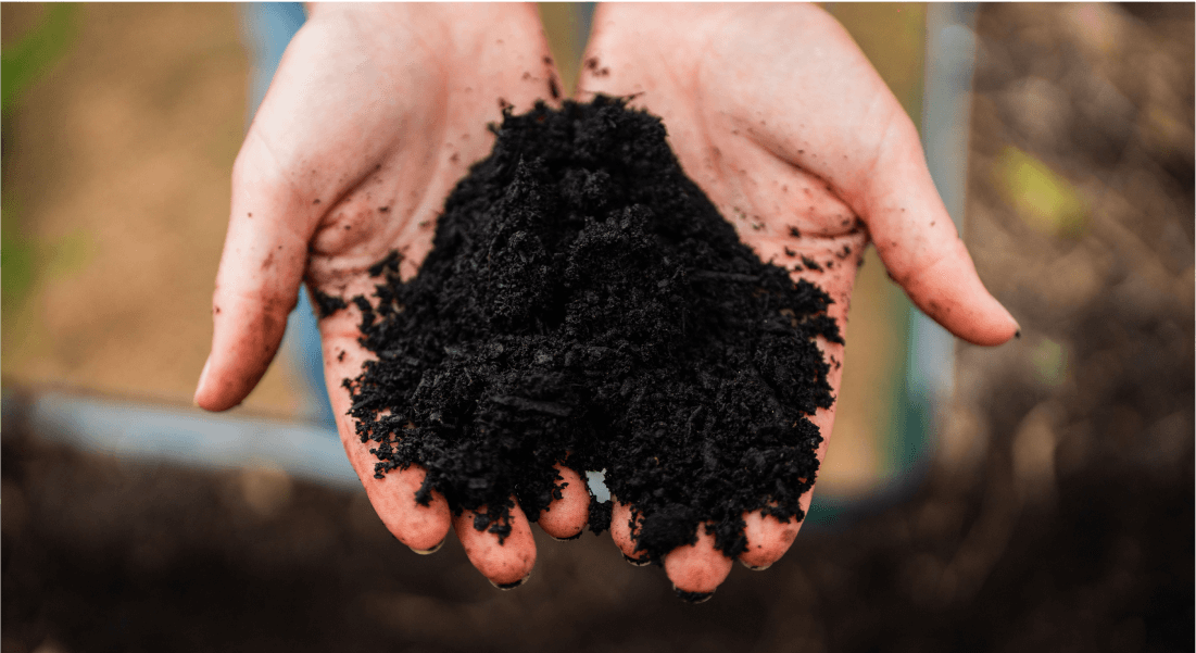 Vego garden beds