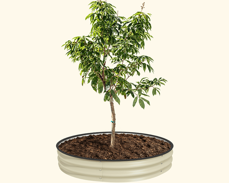 Let Your Trees Thrive