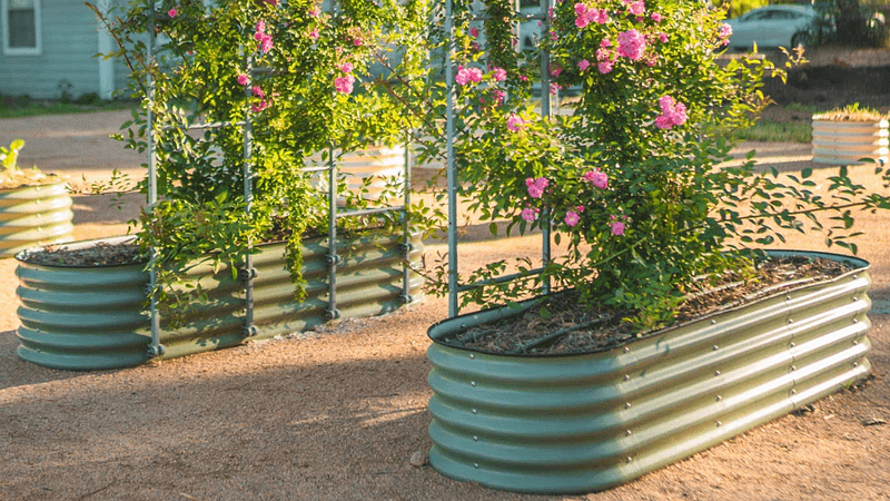 Vego garden beds