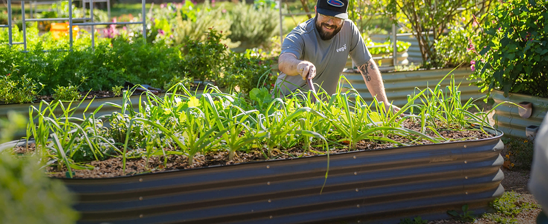 Vego garden beds