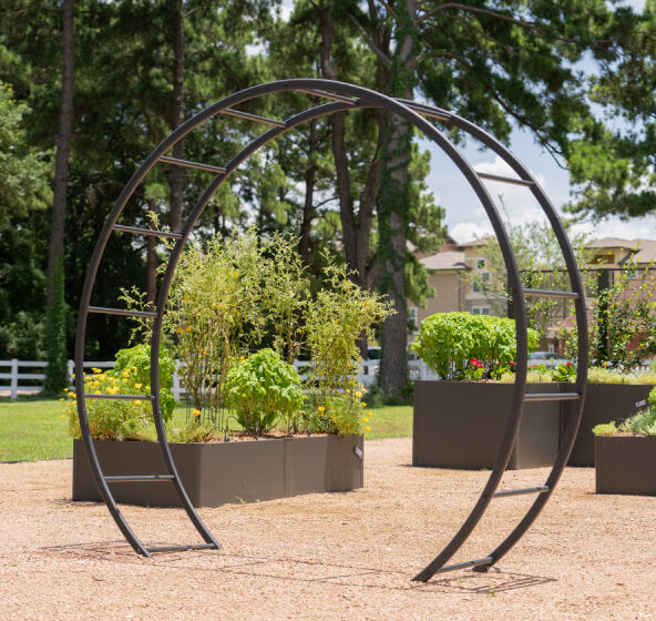 Vego garden beds