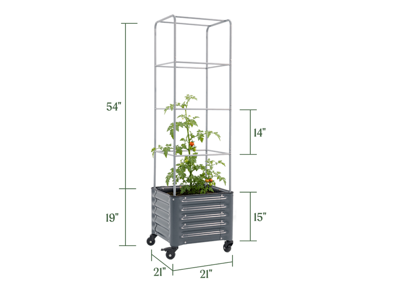 Vego garden beds