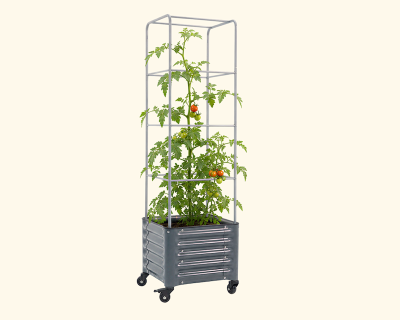 Vego garden beds