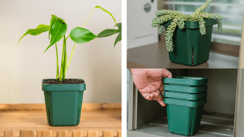 Vego garden beds