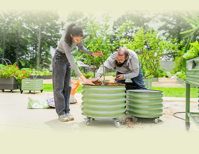 Vego garden beds