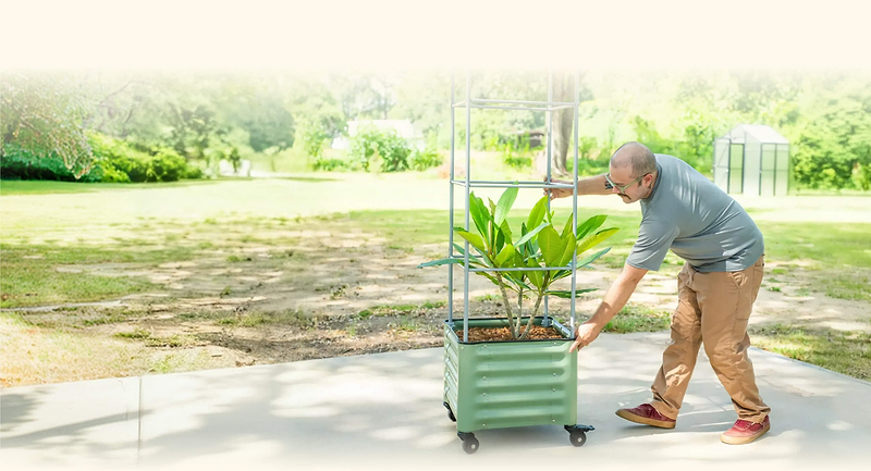 Vego garden beds