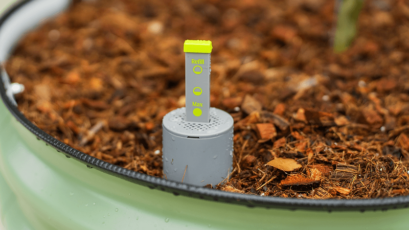 Vego garden beds