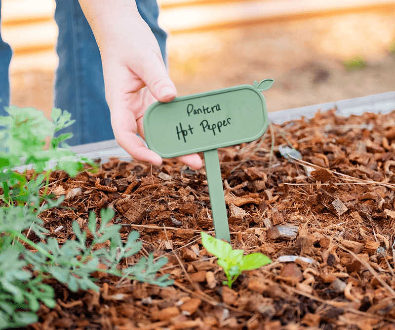 Vego garden beds