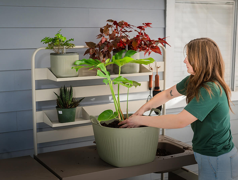 Potting Bench Work