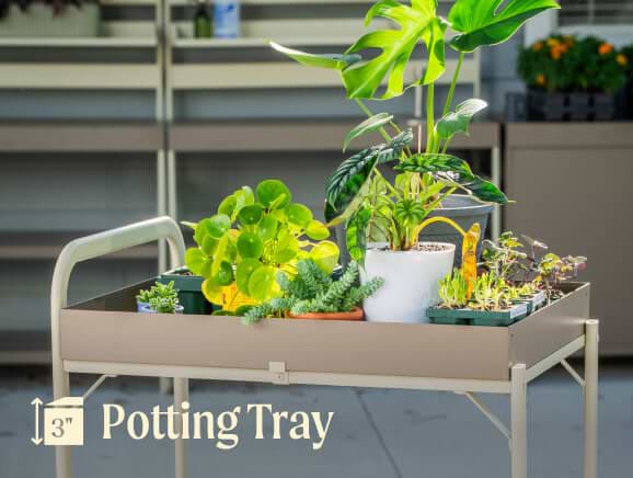 Vego garden beds