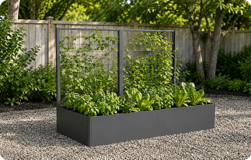 Privacy Wall Trellis