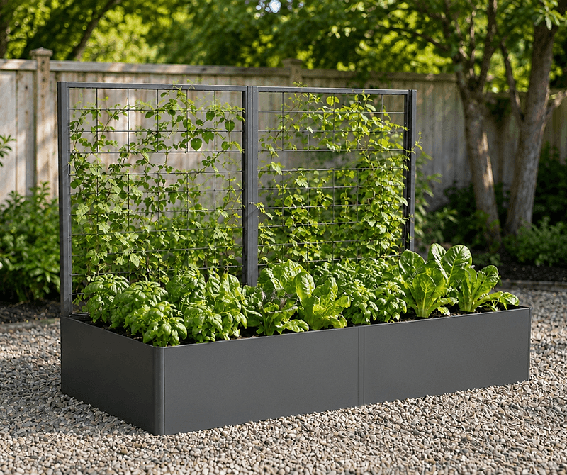 Vego garden beds