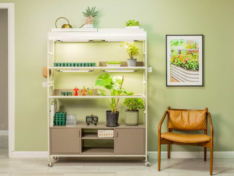 Vego garden beds