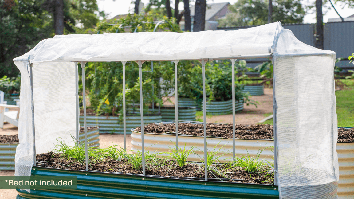 Vego garden beds