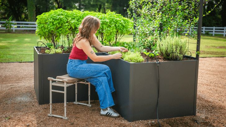 Raised Bed Tending
