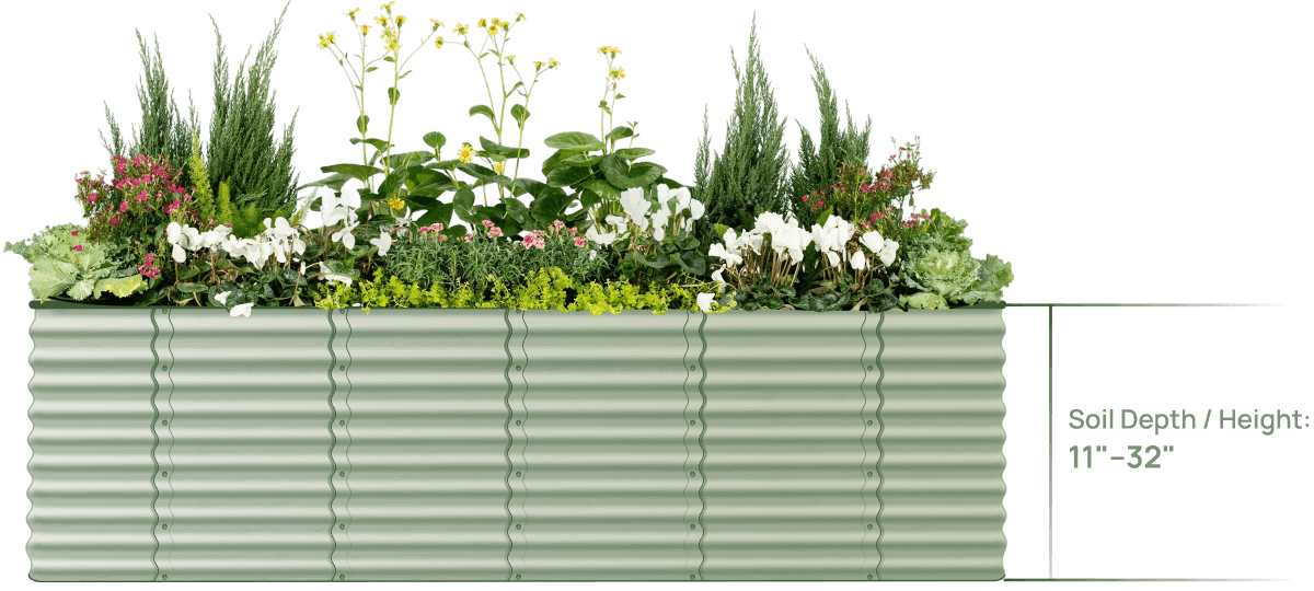 Vego garden beds