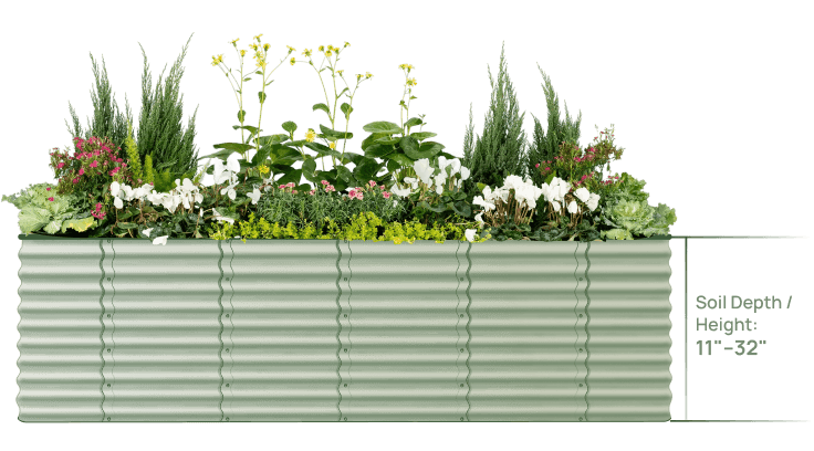 Vego garden beds